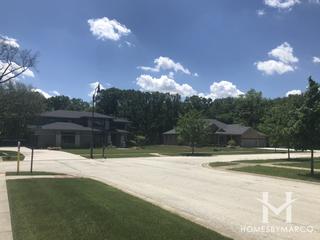 Crystal Creek Estates subdivision in Homer Glen, IL