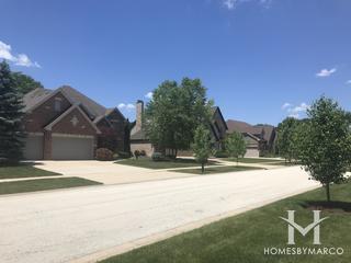 Crystal Creek Estates subdivision in Homer Glen, IL