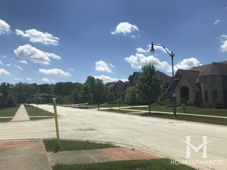Crystal Creek Estates subdivision in Homer Glen, IL