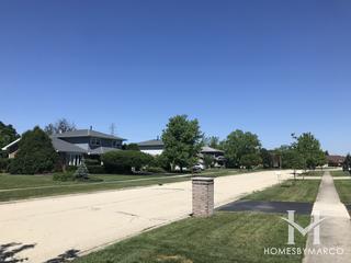 Twin Lakes subdivision in Homer Glen, IL