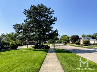 Photos of Summerhill subdivision in Northbrook, IL