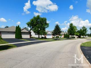 Bradford Place Clubs subdivision in Round Lake, IL