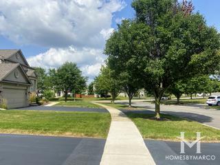 Augusta Village Greens