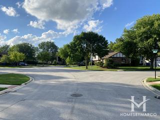 Tree Farm Estates subdivision in Mount Prospect, IL