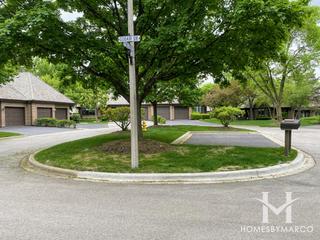Ruth Lake Woods subdivision in Hinsdale, IL
