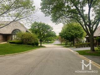 Ruth Lake Woods subdivision in Hinsdale, IL