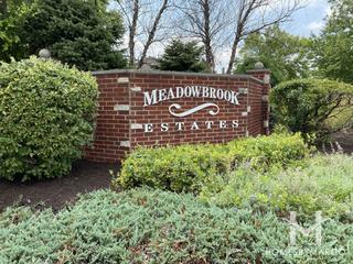 Photos of Meadowbrook Estates subdivision in Orland Park, IL