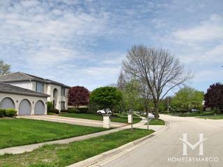 Highland Woods subdivision in Highland Park, IL