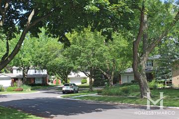Summerhill subdivision in Arlington Heights, IL
