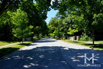 Plum Grove Manor subdivision in Palatine, IL