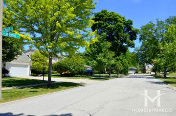 Plum Grove Manor subdivision in Palatine, IL