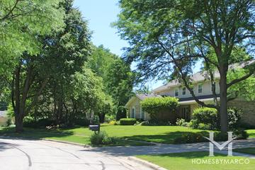 Butler Lake subdivision in Libertyville, IL