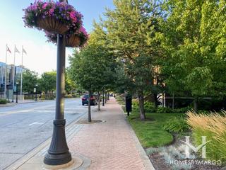 Founders Row subdivision in Mount Prospect, IL