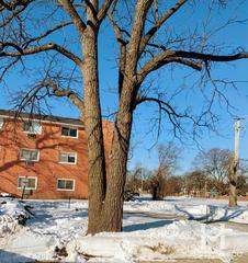 Country Club Condominium building in Arlington Heights, IL