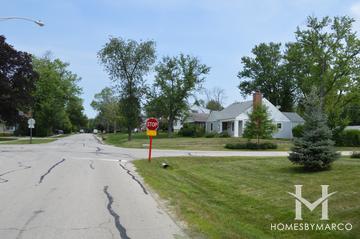 Photos of Green Acres subdivision in Downers Grove, IL