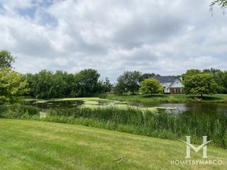 Timber Ridge subdivision in Elgin, IL