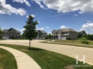 Roslin Reserve subdivision in Oswego, IL