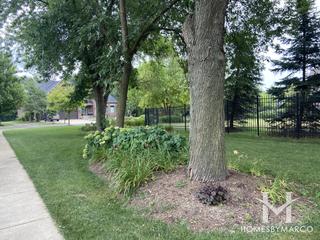 Sutton Place subdivision in Naperville, IL