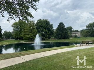 Sutton Place subdivision in Naperville, IL