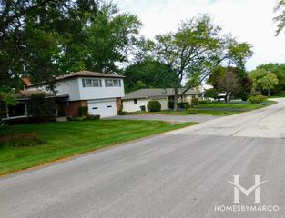 Barrington Meadows subdivision in Barrington, IL