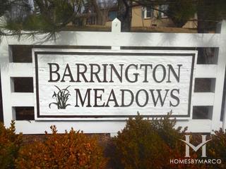 Barrington Meadows subdivision in Barrington, IL