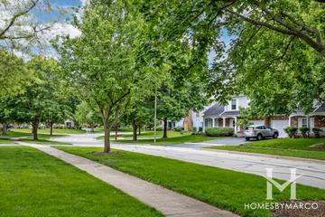 Terraces of Brookdale subdivision in Naperville, IL