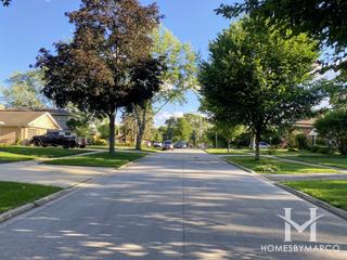 Photos of Centralwood subdivision in Mount Prospect, IL