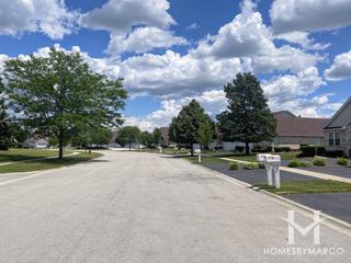 Crystal Springs subdivision in New Lenox, IL