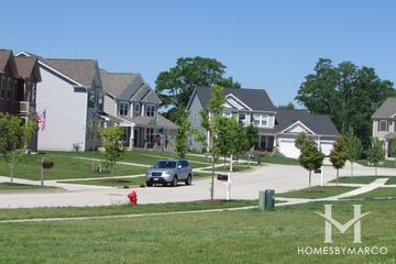 Enclave at Fox Trails subdivision in Cary, IL