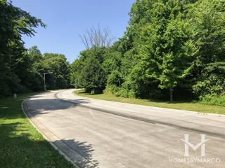 Grove Estates subdivision in Oswego, IL