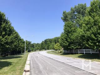 Grove Estates subdivision in Oswego, IL
