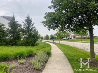 Grande Park Tall Pines subdivision in Plainfield, IL