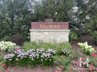 Grande Park Tall Pines