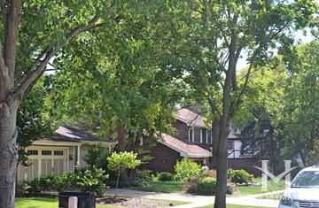 Belleau Woods subdivision in Wheaton, IL