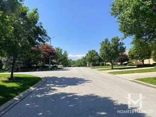 Villas of Carriage Green subdivision in Darien, IL