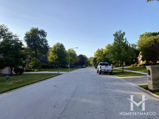 Oak Tree subdivision in Lemont, IL