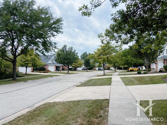 Water Tower Reserve subdivision in Woodridge, IL