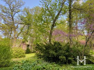 Normandy Woods subdivision in Winfield, IL