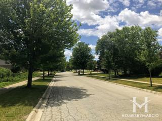 Spring Creek Estates subdivision in Orland Park, IL