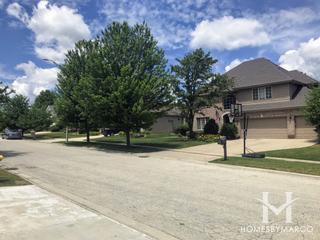 Spring Creek Estates subdivision in Orland Park, IL