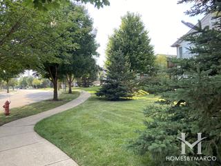 Ashwood Pointe subdivision in Naperville, IL