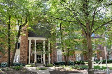 4900 Forest building in Downers Grove, IL