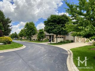Greenleaf Court subdivision in Westmont, IL