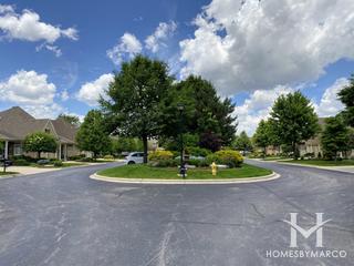 Greenleaf Court subdivision in Westmont, IL
