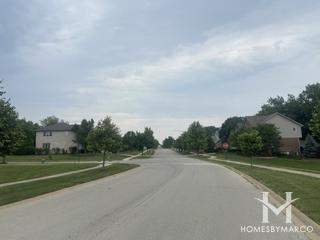 Smith Farms subdivision in Lemont, IL