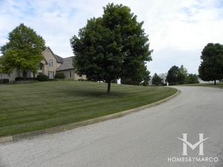 Woods of Silver Glen