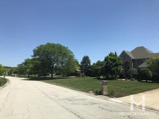 Crystal Lake Estates subdivision in Homer Glen, IL