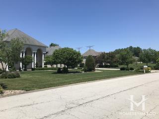 Crystal Lake Estates subdivision in Homer Glen, IL