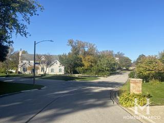 Carriage Hill subdivision in Darien, IL