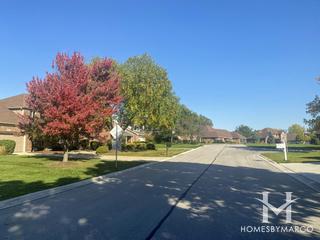 Carriage Hill subdivision in Darien, IL